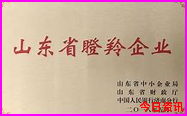 全新收藏2025港澳资料解读免费独家资料大全全网首发-2025全年免费资料大全